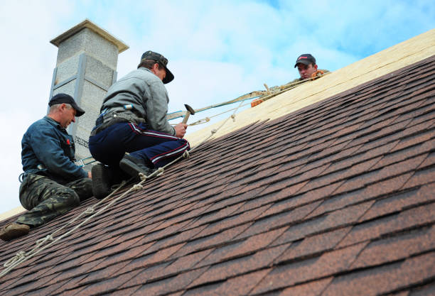 Roof Gutter Cleaning in Magalia, CA